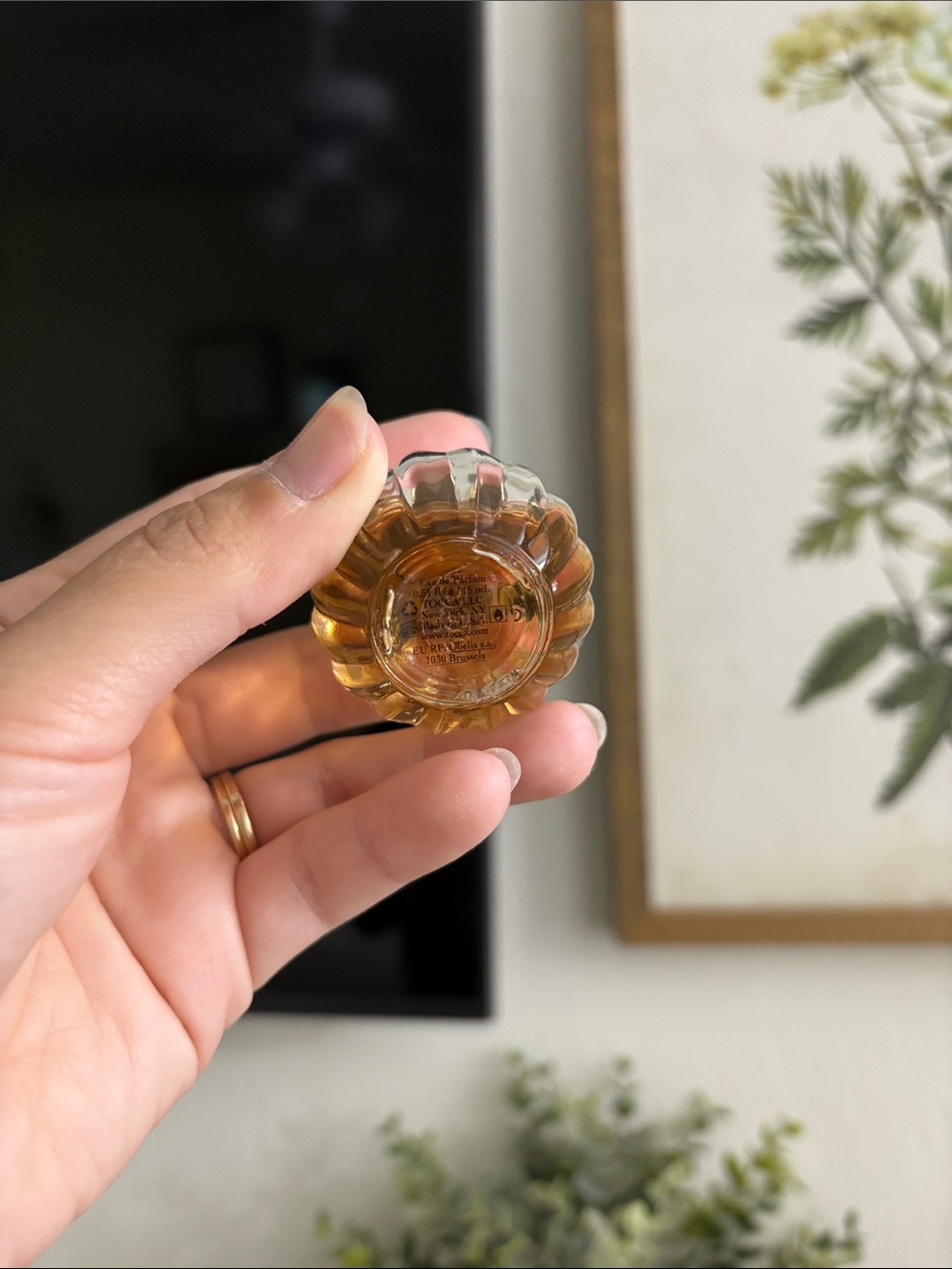 Tocca Stella 15mL - Picture 3 of 4